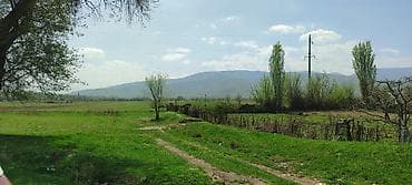 гастинитса ош: 10 соток, Для строительства, Красная книга — 9