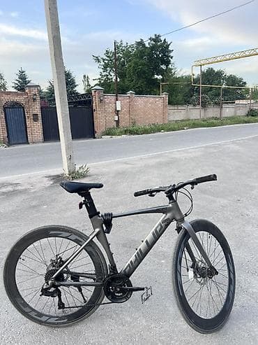 speedone frame: Городской велосипед, Рама L (172 - 185 см) — 1
