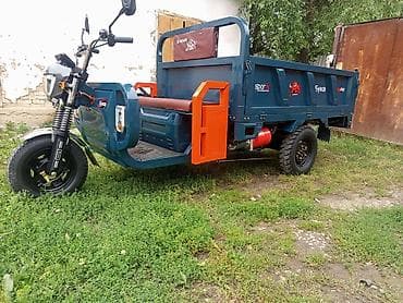 електро мото: Легкий грузовик — 3