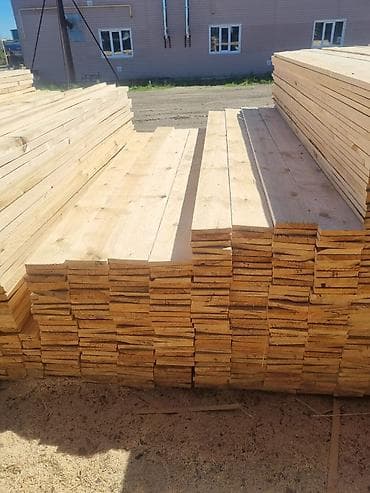 clean box: Хвоя — 4