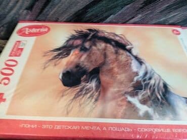 книги художественная литература: Пазлы. 500 деталей. Новые, запечатанные. Производство Россия. Размер — 2