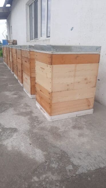 аквариум рыба: Предлагаются новые деревянные ульи для пчел. Ульи изготовлены из — 2