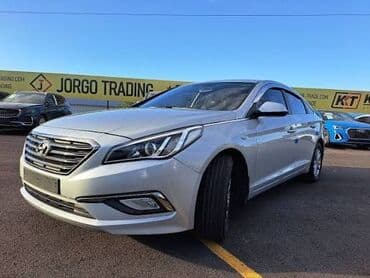 купить поросят: Продаю | Поросенок | Ландрас | Для разведения | Племенные — 1