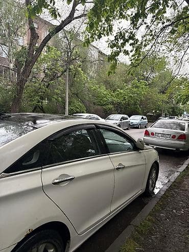 желтый соната: Hyundai Sonata: 2010 г., 2 л, Автомат, Газ, Седан — 6