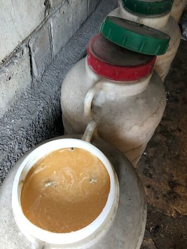 куда продать мёд оптом: Продаю тогтогульский мёд оптом . разнотравие . мёд чистый качество — 1