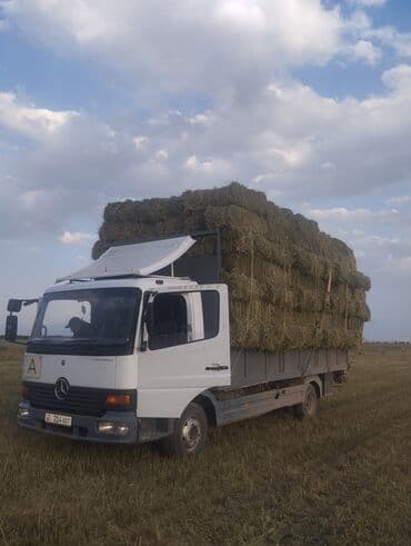 дом на колесах авто: Мерседес Бенс Атего 2001 жылы борттун узуну 6.турасы 2.55 17.5 — 1