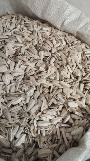 тыквенные семечки цена бишкек: Семечки АК 120 сом звоните — 4