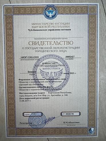 балон детские: Лицензия в садик .ОСОО 3800$ Большая горка 4м и 3м площадка 4м 55000 — 2