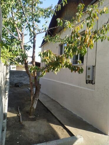 военно антоновка дом: Дом, 80 м², 5 комнат, Собственник, Старый ремонт — 5