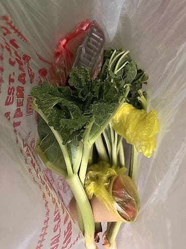 ! Чалбагыла все равно жооп бербейм ЖАЗГЫЛА ВОТСАП конец сезона ‼️ көк at lalafo.kg ! Чалбагыла все равно жооп бербейм ЖАЗГЫЛА ВОТСАП конец сезона ‼️ көк