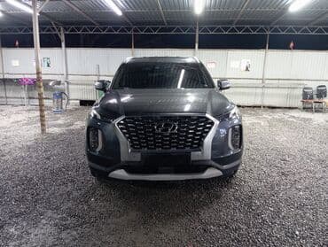 дверь портер 1: Hyundai Palisade: 2019 г., 2.2 л, Автомат, Дизель, Кроссовер — 1