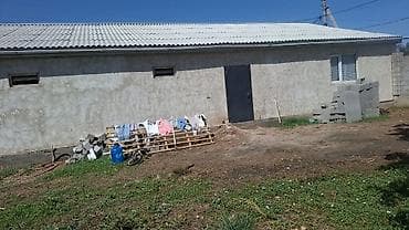 дом магазином: Здание, 240 м² — 4