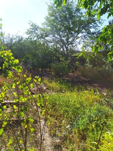 бчк: Дом, 36 м², 2 комнаты, Собственник, Старый ремонт — 1