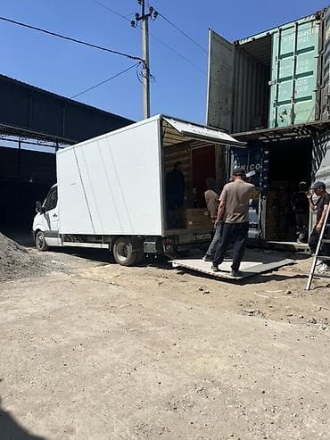 Курьерская доставка: Грузоперевозки и доставка по городу и региону - Оперативная подача и — 6