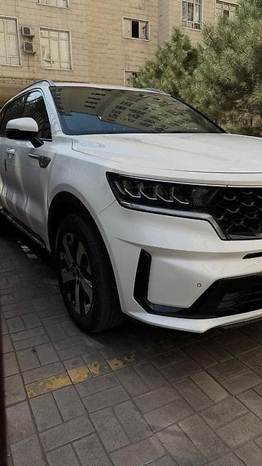 решетка на батаре: Kia Sorento: 2021 г., 2.2 л, Робот, Дизель, Кроссовер — 1