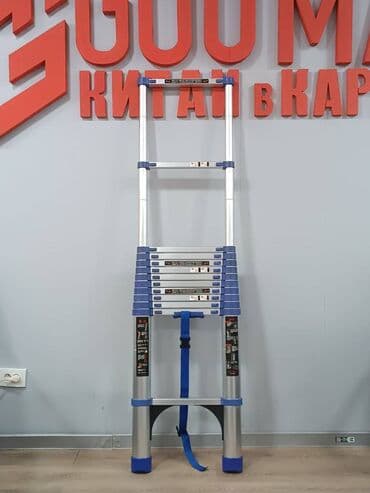 лестница на крышу: СКИДКИ!!!!!!!!!!!!!!!!!!!!! В наличии имеется телескопическая — 2