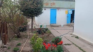 недвижимость квартира: 7 соток, Для сельского хозяйства, Красная книга, Тех паспорт, Договор дарения — 5