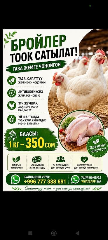 Азык-түлүктөр: Бройлерные куры (целые тушки) - Выращены на чистом, качественном — 1