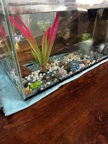 аква трейд: Аквариумный комплект для домашних рыб - Стеклянный аквариум — 3