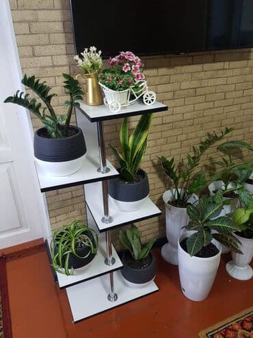 книжный шкаф бу: Подставки - полки. подставки под цветов. подставки под обуви. Разного — 1