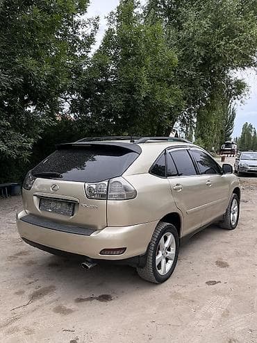 ls 400: Lexus RX: 2004 г., 3.3 л, Автомат, Бензин, Кроссовер — 4