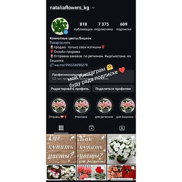 Комнатные растения: В наличии крупные детки, бальзаминов по 100 с -150 с. Возможна — 7