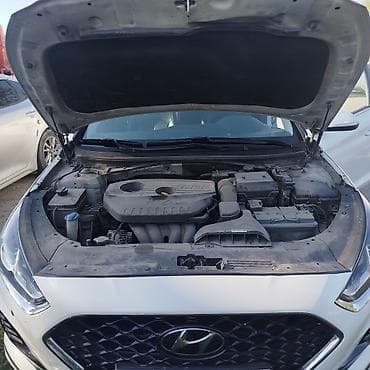 шторка соната: Hyundai Sonata: 2019 г., 2 л, Автомат, Газ, Седан — 9