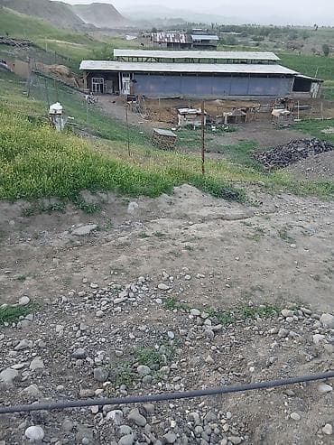 уч: Продаётся участок с действующим сельскохозяйственным хозяйством — 3