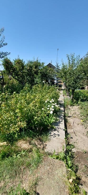 дом арча бешик 3: Дом, 64 м², 3 комнаты, Собственник, Старый ремонт — 5
