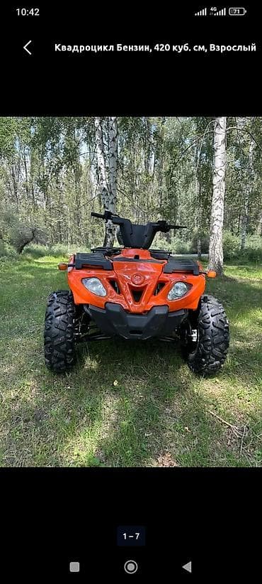 Квадроциклы: Квадроцикл Yamaha, Бензин, 420 куб. см, Взрослый — 4