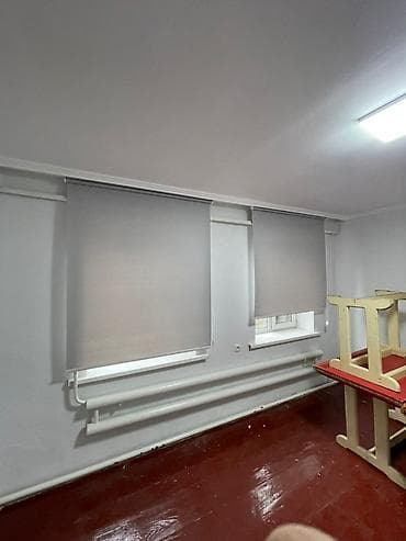 projector screen: Рулонные шторы, светонепроницаемые (blackout), цвет — светло‑серый. - — 1