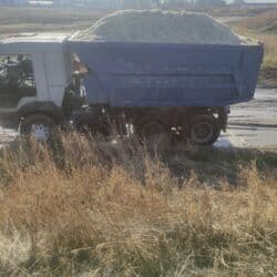 продажа щенков немецкой овчарки в бишкеке с документами: Жом с доставкой на дом беловодский Петровка садовый свежий кызыл туу — 13