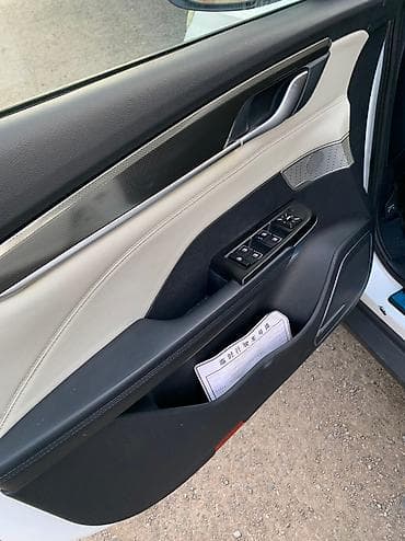 echo platz: Weltmeister EX5, 2020 г., 85000 км, В наличии — 6