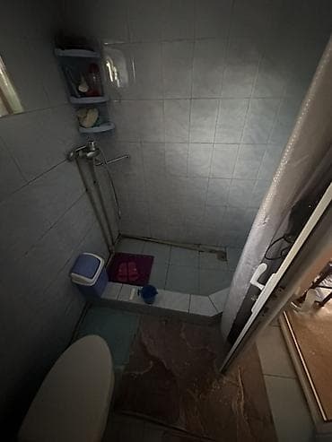 дом с огородом: Продаётся частный дом с благоустроенным двором и зелёной зоной — 6