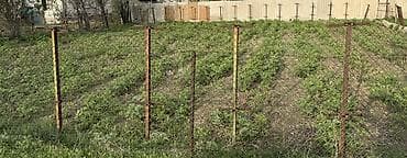 купить участок токмок: 5 соток, Для строительства, Красная книга — 1