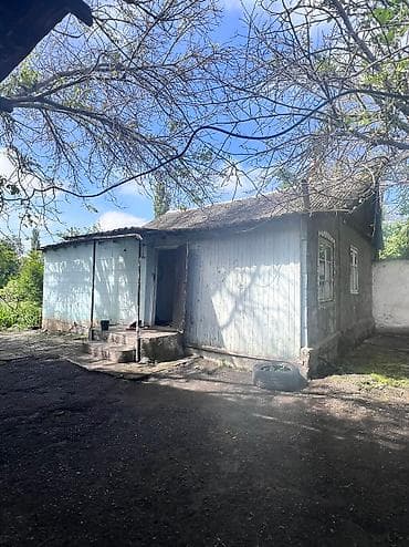 ферма скотник: 42 соток — 1