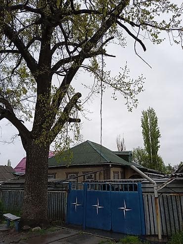 Продаётся одноэтажный частный дом с приусадебным участком 8 соток за — 3