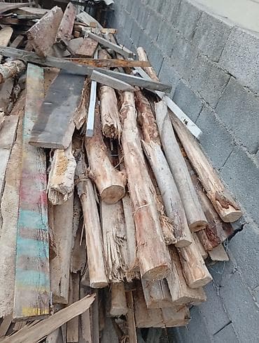 сколько стоит 1 тюльпан в бишкеке: Стройматериалы сатылат бир тамдыкы бу. Балка, Страпила, Половой — 4