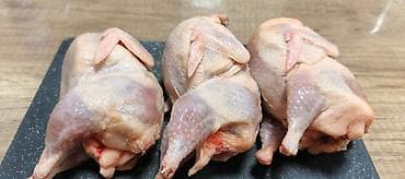 перепела селадон: ПЕРЕПЁЛКИ ВЕС ТУШКИ 350- 400 грамм мы в центре города, качество — 1