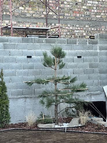 ландшафтный дизаин: Ландшафтный дизайн авто полив водопады пруды водоемы ручьи посев — 10