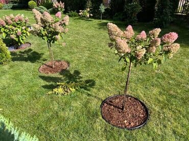 газон для футбольного поля: Бордюрная лента КАНТА Бордюрная лента КАНТА доступна в трех цветах — 20