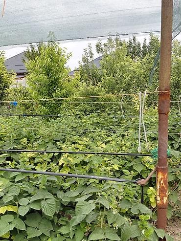 бишкек участка: 17 соток, Бизнес үчүн, Сатып алуу-сатуу келишими, Белек келишими — 8