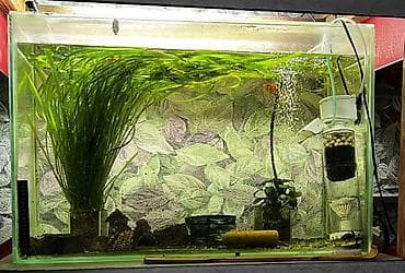 fish eye: Аквариумный комплекс из трех стеклянных аквариумов на общей деревянной — 2