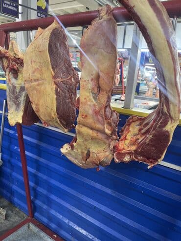 мясо головное: Тай эти дун жана чекене бардык турлору бар устукан тойлордуу тейлоо — 7