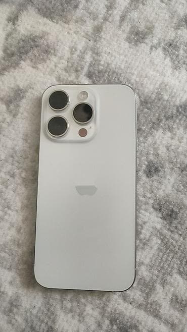 холодильные двери: IPhone 15 Pro Max, White Titanium — 1