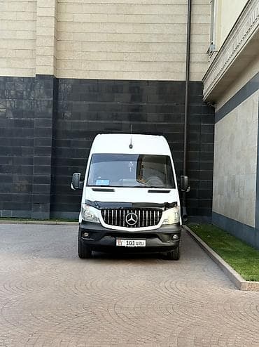 сапоги женские 37: Пункт назначения: Все направления, Количество мест: 18, Лицензия №: 00В004804 — 5