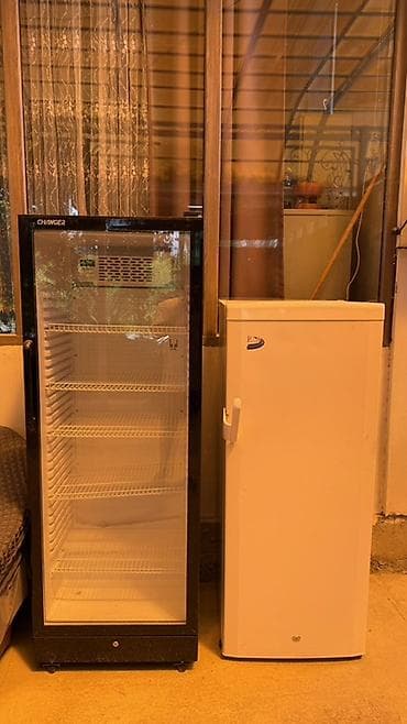 Два холодильных аппарата: 1) Витринный холодильник CHANGER -