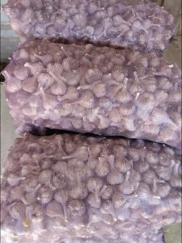 Чеснок Оптом, Самовывоз