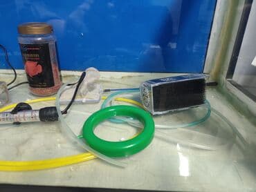 аквариум: Просторный аквариум панорамного типа с чёрной рамой. - Прямоугольная — 9