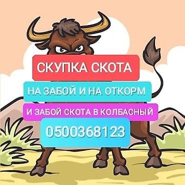 Колбасный цех : Коровы, быки, Лошади, кони, | Круглосуточно, Любое состояние, Забитый